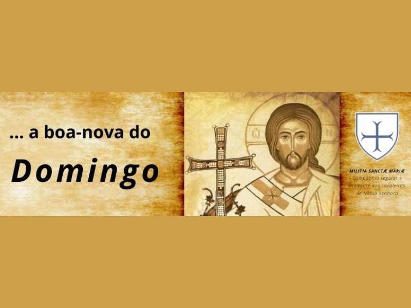 Ilustração do projeto A Boa-nova do Domingo
